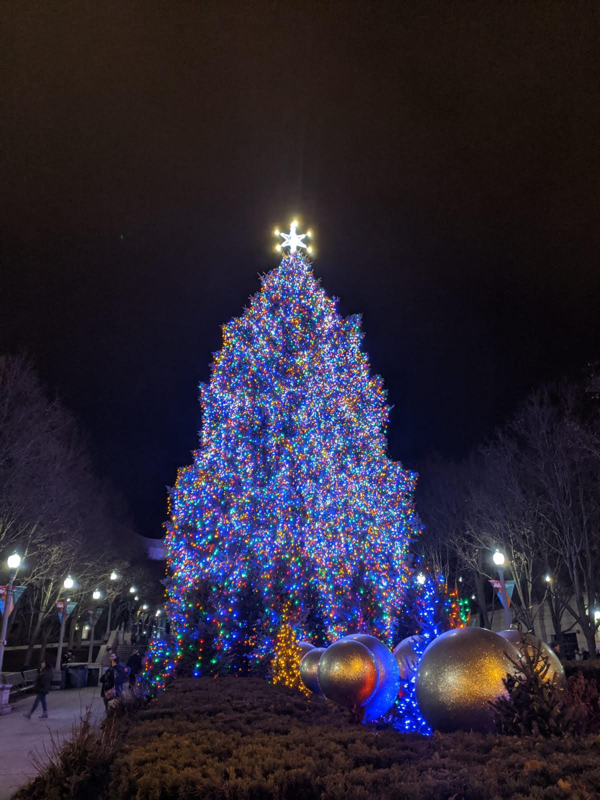 Chicago Christmas Tree 2019-2020
